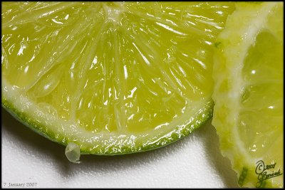 07Jan2007 - Lime Slices 14862