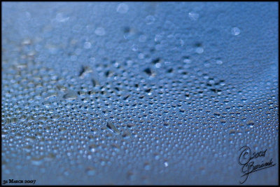 31Mar07 Condensation - 15943