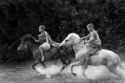 horse monk 1311-02214-2BW.jpg