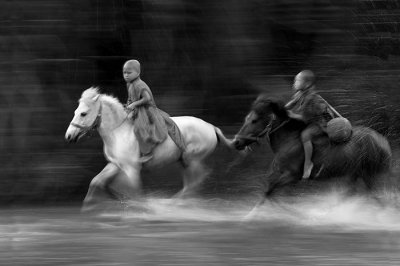 horse monk 1393-02231BW1.jpg