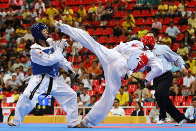 Taekwondo04106.jpg