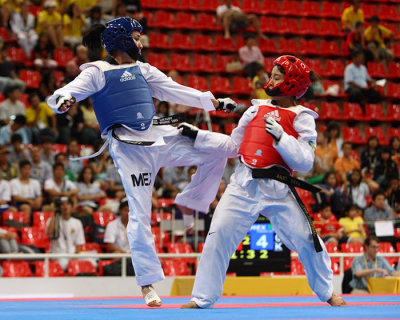 Taekwondo04113.jpg