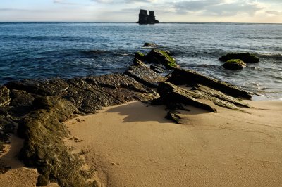 _DSC3966.jpg