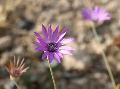 IMG_8846.jpg