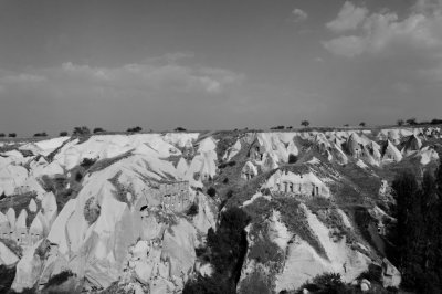 IMG_8880_dxo.jpg