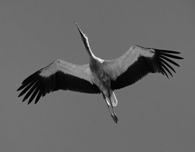 IMG_0863_dxo.jpg