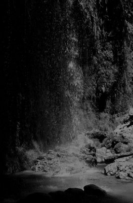 IMG_1777_DxO.jpg