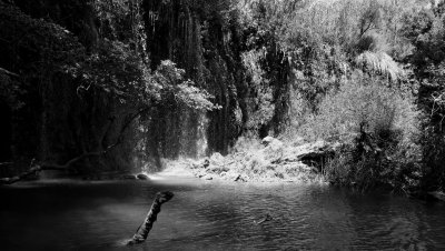 IMG_1781_DxO.jpg