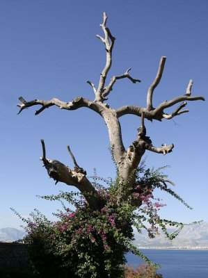 _MG_1740.jpg