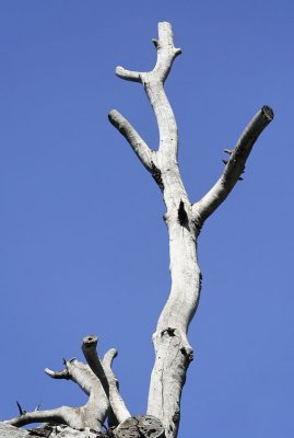 _MG_1741_dxo.jpg