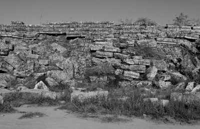 IMG_2061_dxo.jpg