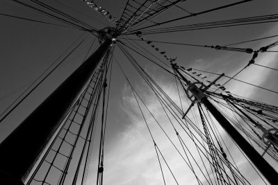 IMG_1125_DxO.jpg