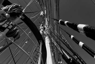 IMG_1168_DxO.jpg