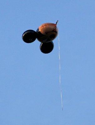 _MG_2930_DxO.jpg