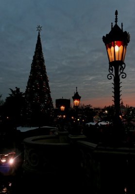 _MG_2986_DxO.jpg