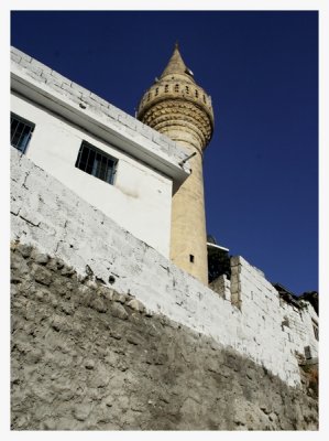 IMG_7338_dxo.jpg