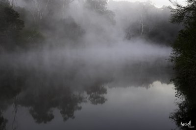 Mist On The Yarra River