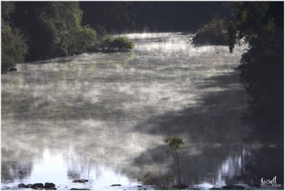 Mist Upstream