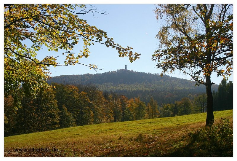 Blick zum Hochwald