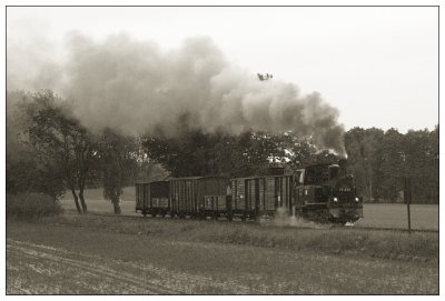 Pollo XVI