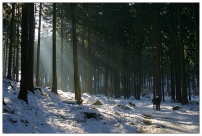 Winter in the Harz