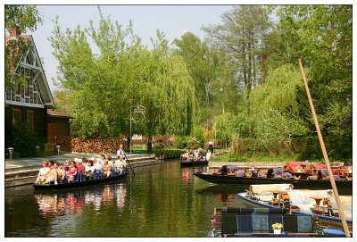 In the spree forrest