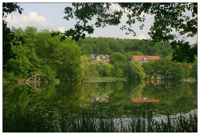 Reflections