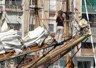 Tall ship's races at Toulon