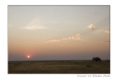 _MG_6633.jpg