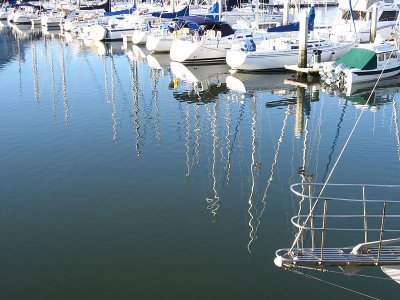 Masts reflected