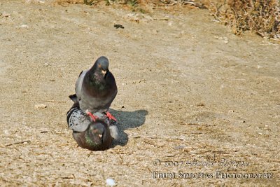 Spring is in the air, and on the ground.