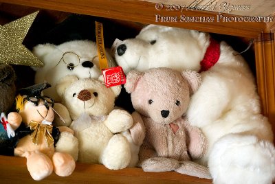 The bears, guarding the book  shelf