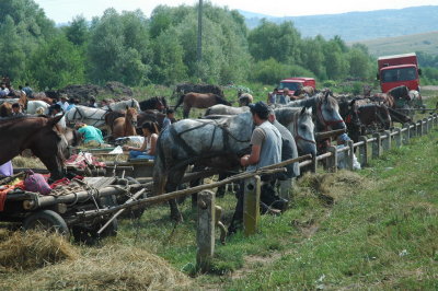 Horsemarket Etd_12.JPG