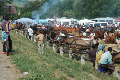 Horsemarket Etd_14.JPG