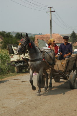 Horsemarket Etd_15.JPG