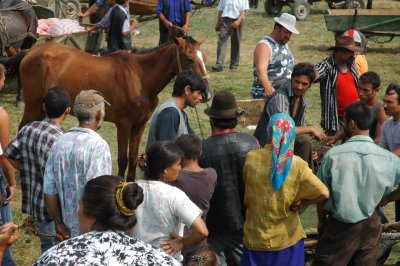 Horsemarket Etd_16.JPG