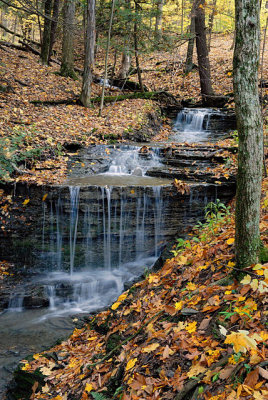 Small Falls in Sweedler Nature Preserve