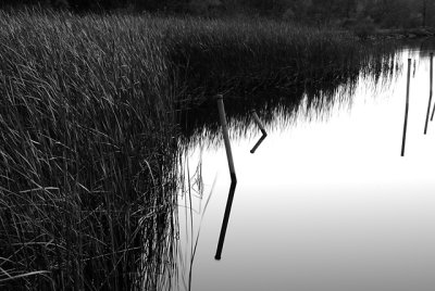 Long Night Exposure along the Erie Canal