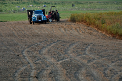 Harvest