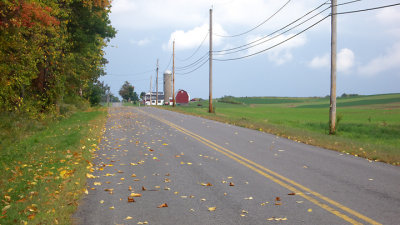 Fall arrives on Gloria Road