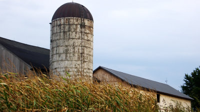 farm at sunset