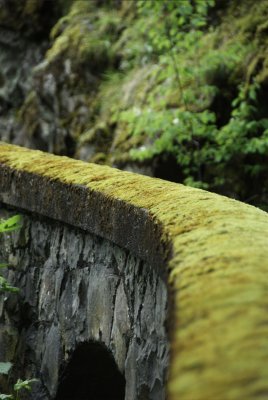 Columbia Gorge Waterfalls_02.jpg