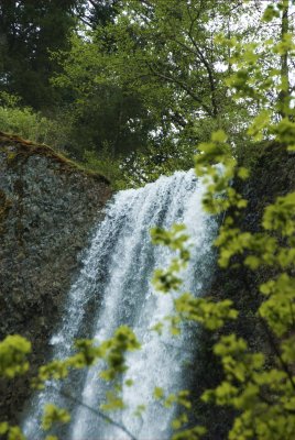 Columbia Gorge Waterfalls_13.jpg