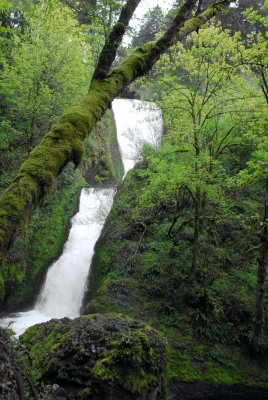Columbia Gorge Waterfalls_21.jpg