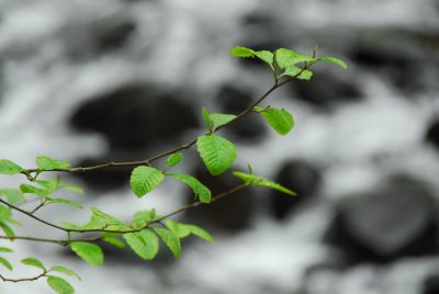 g6/87/669287/3/77601342.56b3Qmrs.jpg