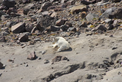 King of the mountain