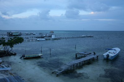 IMG_0758_filtered1.jpg