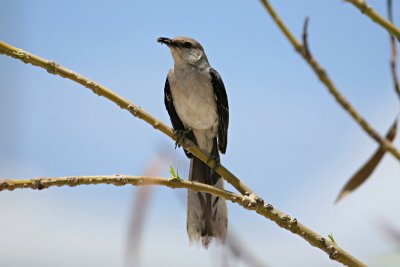 IMG_0872e_filtered1.jpg