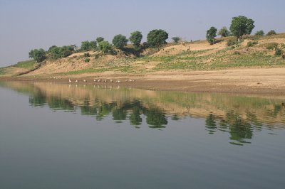Ind_432a_1.jpg