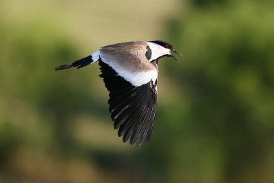 QE_0119_1.jpg
